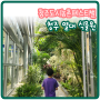 청주 열대식물원이 있는 도시농업 페스티벌