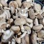 2024 경기사회복지공동모금회 표고버섯재배, 버섯수확 - 노리터보호작업장