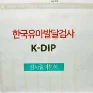 31개월 아기 발달 (한국유아 발달검사 K-DIP)