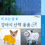 비 오는 날, 강아지 우비, 우산 등 산책용품 추천 | 위탁판매 아이템 상품 소싱