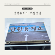 경부고속도로 망향휴게소 하행선 이용 후기(feat.반려견 동반)