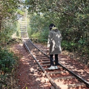 제주여행 추천코스 산양큰엉곶