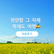 [직접 다녀왔습니다] 사계절 내내 좋은 '북해도' 패키지 여행🌼 - 온라인투어 직원의 리얼 후기