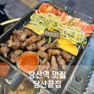 당산역 맛집 당산끝집, 당산역 고기집 추천