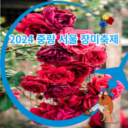 5월서울축제 2024 중랑 서울장미축제 가는길 주차 프로그램