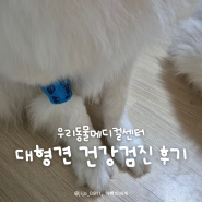 강아지 건강검진 비용 금식 소요시간 주기 경기광주 동물병원 추천