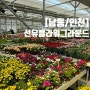 [남동/인천] 인천 화훼단지, 선유 플라워 그라운드에서 내돈내산 봄식물 가득 담아오기