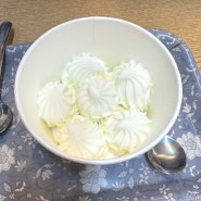 [요거트월드 송파점] 송파구 가락동 | 맛있는 저당 요거트아이스크림