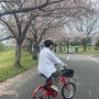 후쿠오카 근교 고라타이샤 자전거여행