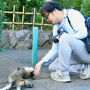 못생긴 고양이만 찍는다고? 일본 길고양이 사진작가 오키 마사유키