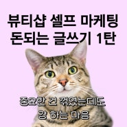 더노아 무료 전자책 ) 돈되는 글쓰기 기초편