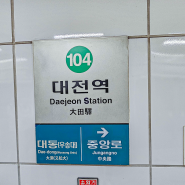 대전 지하철은 어떤 모습일까? 대전역 대전 도시철도 대전 지하철 1호선