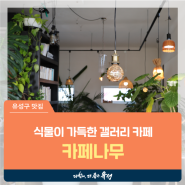 대전 유성구 카페, 현충원역 인근 플랜테리어 갤러리 카페 '카페나무'