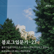 [블로그입문기-23] 블로그입문기 라고 쓰고, 퍼스나콘바꾸는방법 이라고 읽는다. (퍼스나콘 뜻)