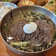 평창 막국수 맛집 추천 "살구실 막국수"