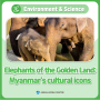 Elephants of the Golden Land: Myanmar's Cultural Icons