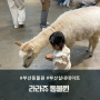 부산동물원 라라쥬 동물원 24개월미만은 무료, 연중무휴