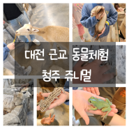 대전 근교 아이와 함께 동물체험 청주 쥬니멀