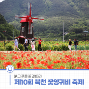 붉고 푸른 꽃길 따라 “제10회 하동 북천 꽃양귀비 축제”