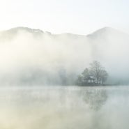 [한국 여행] 안개 자욱한 연못의 아침 / a misty pond morning