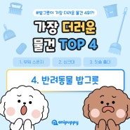 강아지/고양이 밥그릇, 가장 더러운 물건 4위? (세척/예방방법)