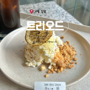 서울 강남, 카페 트리오드 : 케익그람 내돈내산 후기