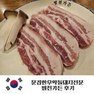 [경북] 문경한우약돌돼지전문 별천가든 약돌돼지맛집