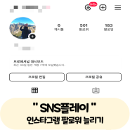 인스타그램 팔로워 늘리기 한국인 SNS플레이 체험후기