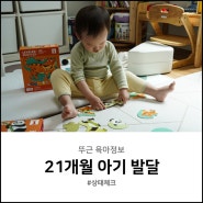 21개월 아기 발달 언어 수면시간 놀이 방법