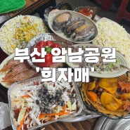 부산 송도 암남공원 '희자매' 현지인 조개구이 맛집 강력 추천