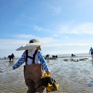 태안 갯벌 체험하기 좋은 곳 몽산포해수욕장 해루질 다녀왔어요