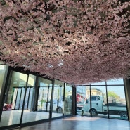 행주산성 카페 인조벚꽃나무/천장조경/벚꽃천장덮기