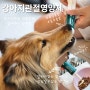 강아지관절영양제 버디부 메디샷 조인트&오메가, 초록입홍합 오일추출물