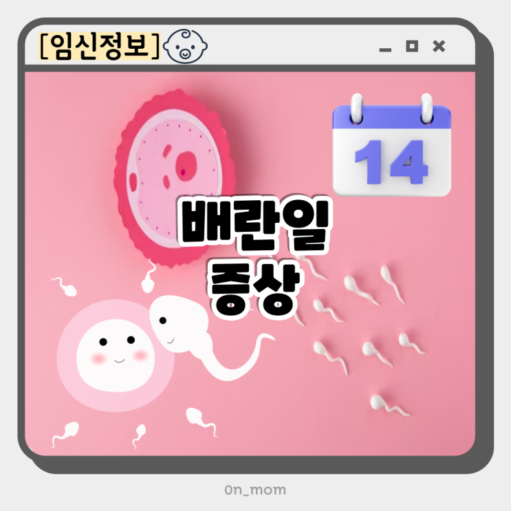 배란일 증상 계산기 배란테스트기 배란기 배란혈 배란통 몸무게 임신증상 : 네이버 블로그