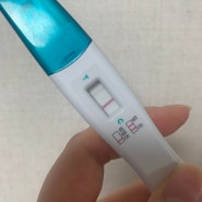 난임병원 시험관 이식 후 임신 성공!