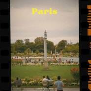 프랑스 파리 여행 코스 뤽상부르공원 피크닉 파리 현지인들이 가는 정원
