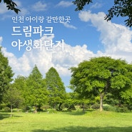 서울근교 인천 주말 아이랑 갈만한곳 드림파크 야생화단지 산책하기 좋은곳