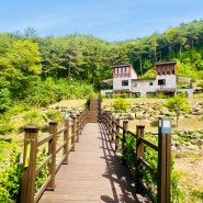 경북 봉화 자연의 향기를 담은 휴식처 - 문수산 자연휴양림 단풍나무, 배롱나무