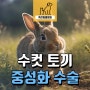 수컷 토끼 피내봉합 중성화수술과 식변 섭취 - 용인 구성 죽전 특수 동물 병원