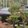 로쿠 교토 일본 정원 しょうざん 北庭 / 쇼잔리조트 정원 로쿠교토 투숙객 무료 입장 가능해요!