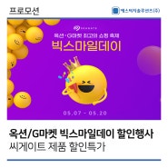 [에스씨지솔루션즈] 옥션/G마켓 빅스마일데이 할인행사 (종료)