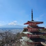 [Arakurayama Sengen Park] Fujiyoshida JAPAN