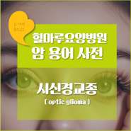 [암용어사전] 시신경교종( optic glioma )