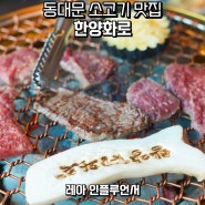 서울 동대문 맛집 DDP 고기집 한양화로 소고기