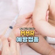 mmr 예방접종 무료 대상 접종 시기와 횟수 백신 가격 및 종류