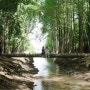 경북 천년숲정원 경주 산림환경연구원 산책 코스