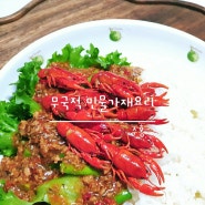 무국적 민물가재 요리 [카파오무쌉 위에 가재] feat. 벚꽂청주🌸