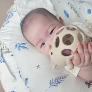 유아완구 블루래빗 아이큐베이비 3개월 4개월아기장난감 꼬꼬 딸랑이 치발기