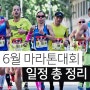 6월 전국 마라톤 대회 울트라 트레일러닝 일정 종목 장소 총정리