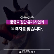 '경북 경주 품종묘 집단 유기 사건’의 목격자를 찾습니다.